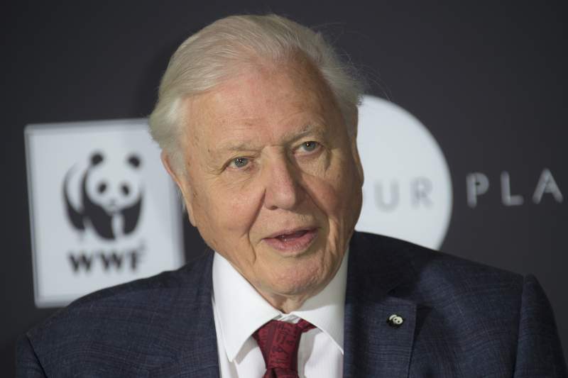 David Attenborough to address leaders at UN climate summit