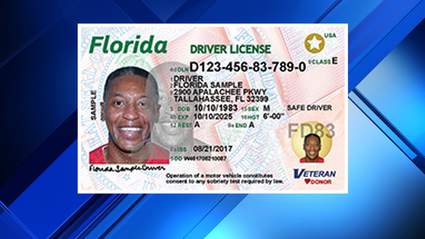 Here S What Your New Florida Driver License Looks Like
