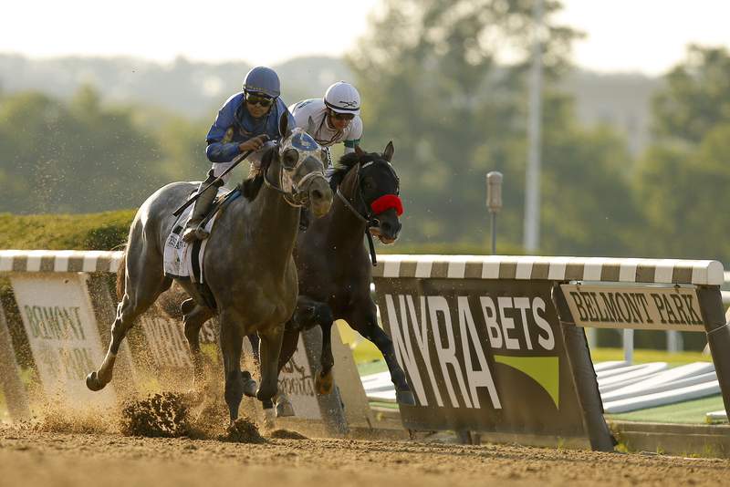 Knicks Go is early 5-2 favorite for Breeders' Cup Classic