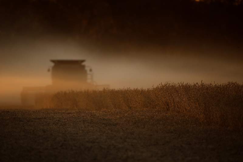 EPA bans pesticide linked to health problems in children