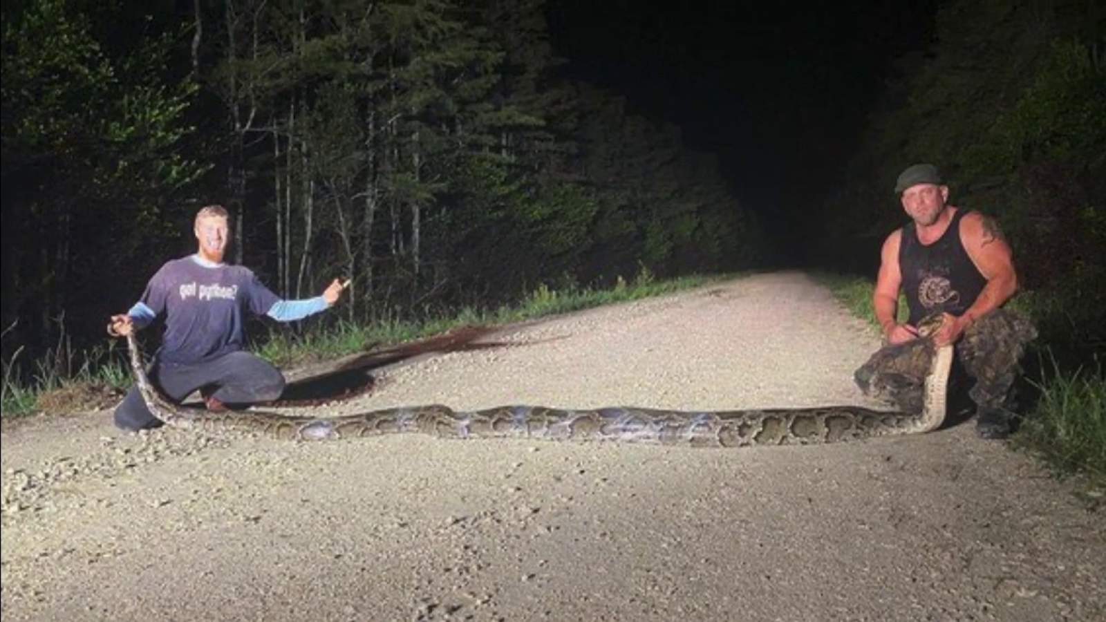 Fort Lauderdale duo breaks record with 18.9-foot python caught in Everglades