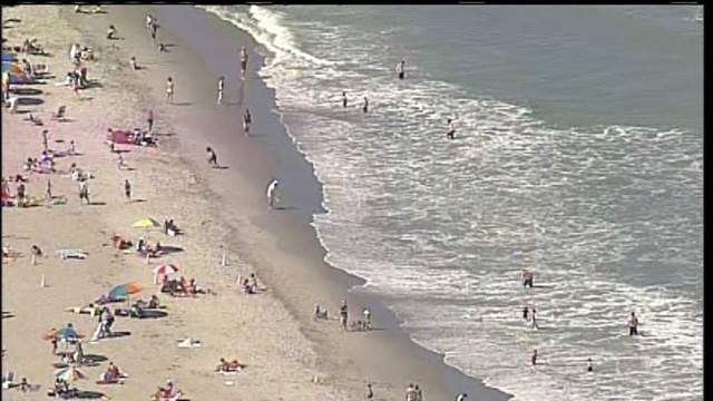 Surfer Bitten By Shark In New Smyrna Beach