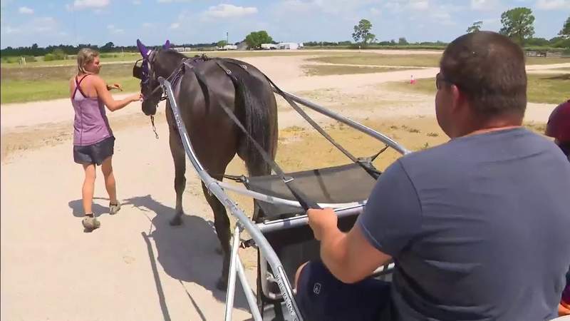 New gaming compact threatens future of harness racing in Florida