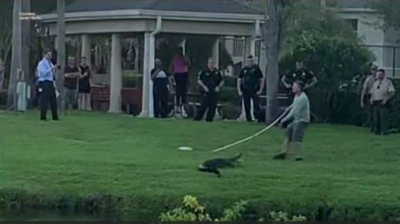 Florida woman attacked while saving her dog from an alligator