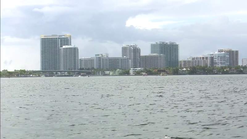 A year after massive fish kill in Biscayne Bay, see what’s being done
