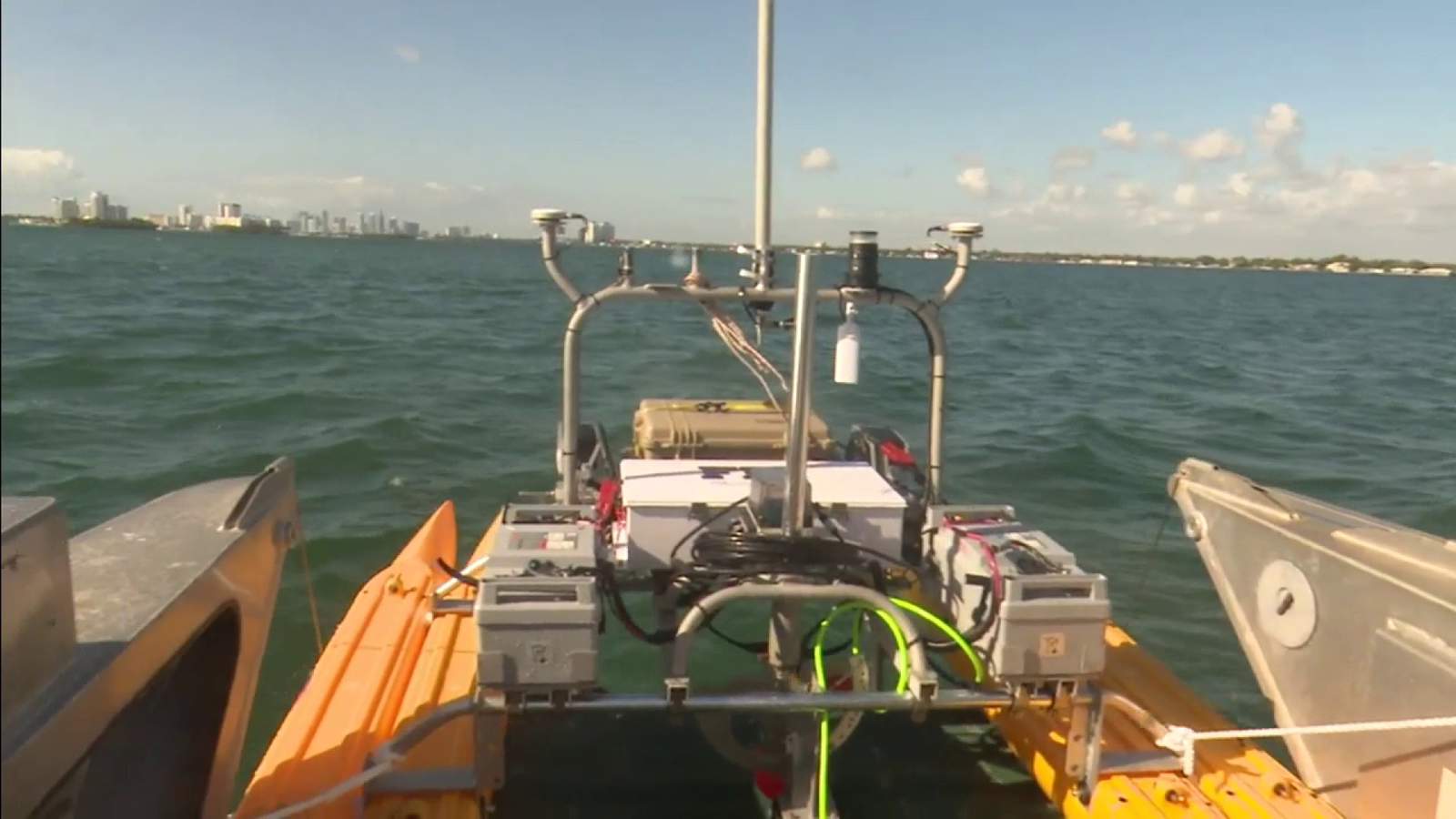 Saving Biscayne Bay: Researchers worry about risk of another fish kill this summer