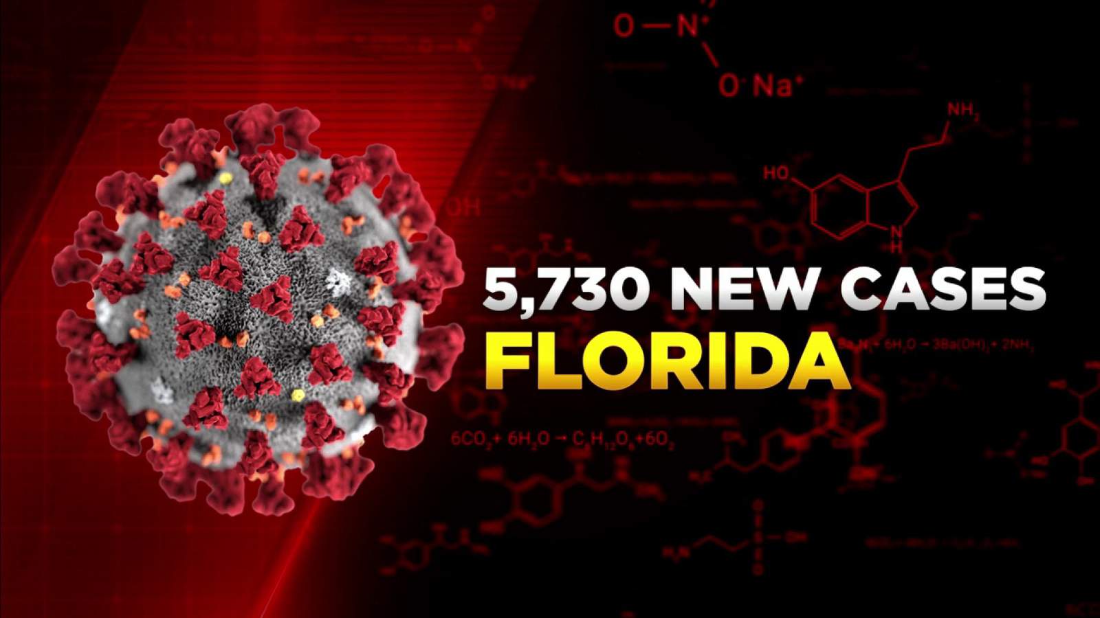 Florida reported 5,730 new cases of coronavirus on Monday, 206 deaths of residents