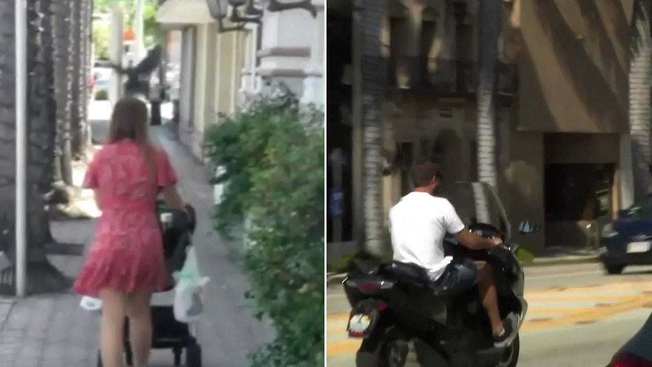 Nesting birds have been attacking pedestrians and people riding scooters and bicycles in the Arthur Godfrey Road area in Miami Beach.