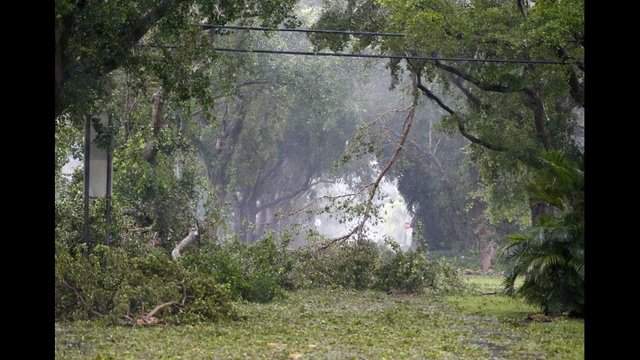 Hurricane Irma: Coral Gables