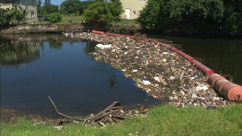 Nuestra basura en tierra está estrangulando las vías fluviales de Miami