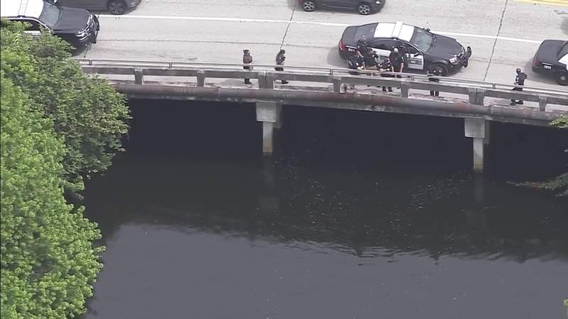 Hollywood police investigating body found floating in canal