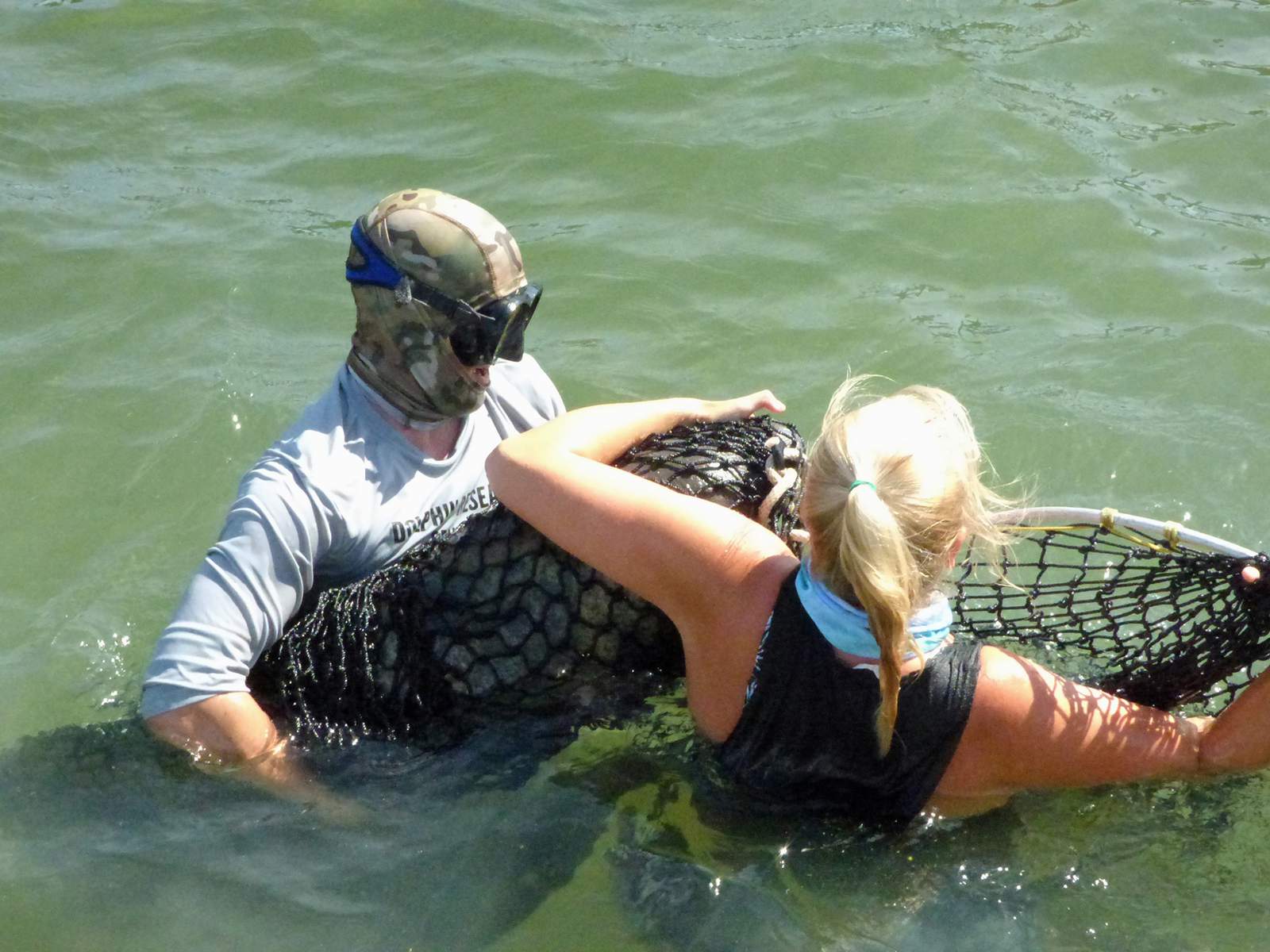 Orphaned baby manatee rescued in the Keys