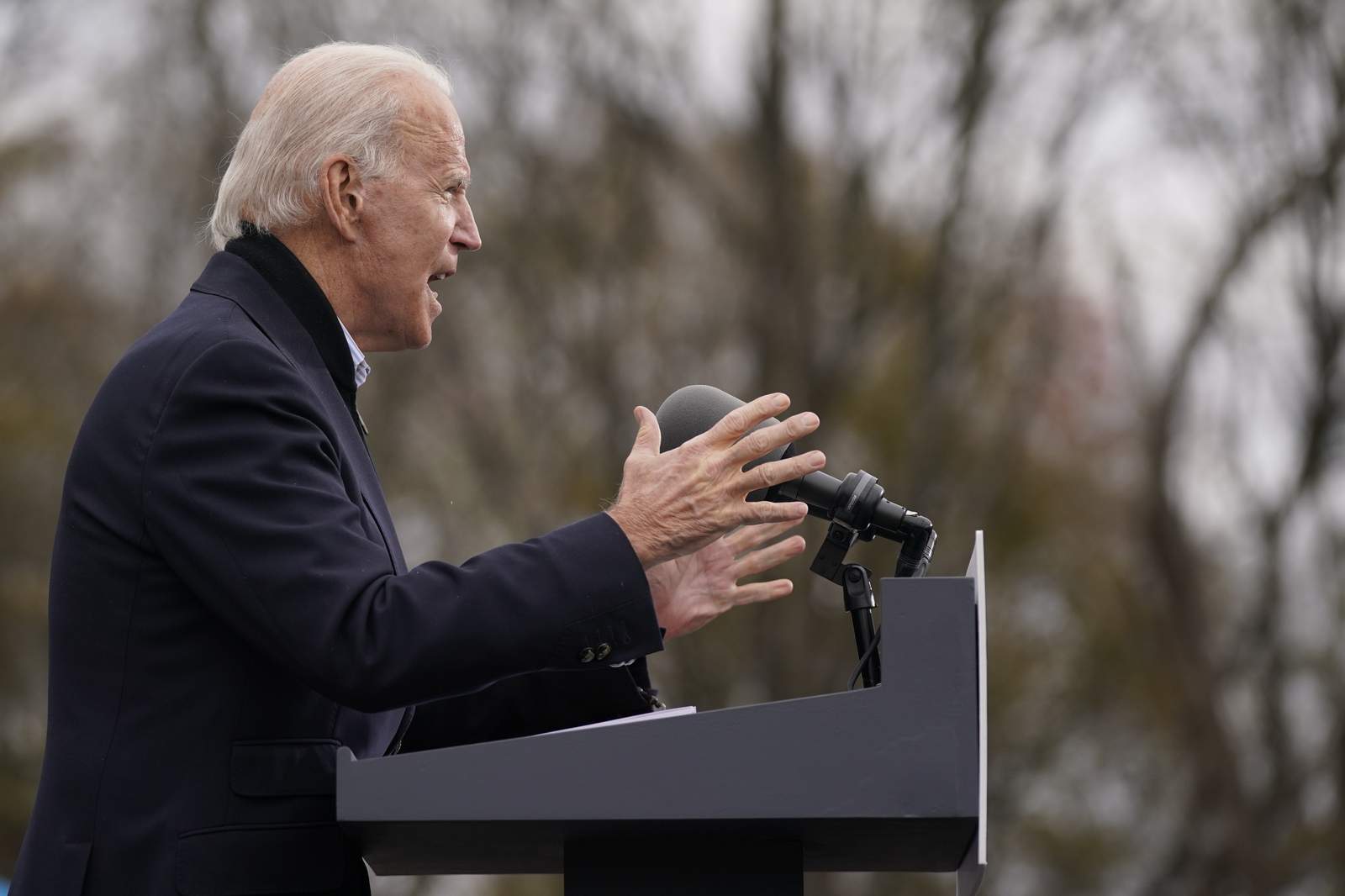 In Georgia, Biden's presidency meets early defining moment