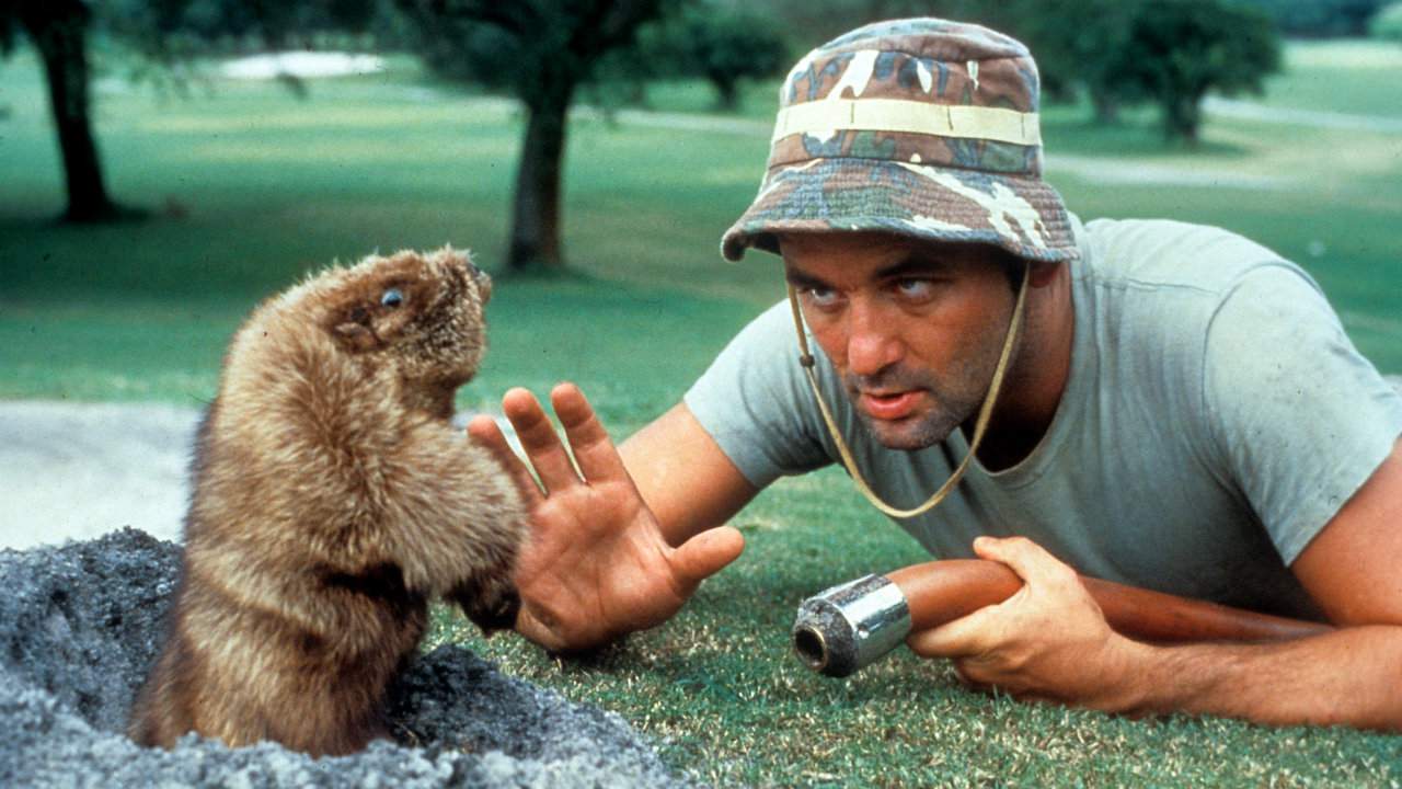 Caddyshack turns 40: Heres where they filmed it in South Florida