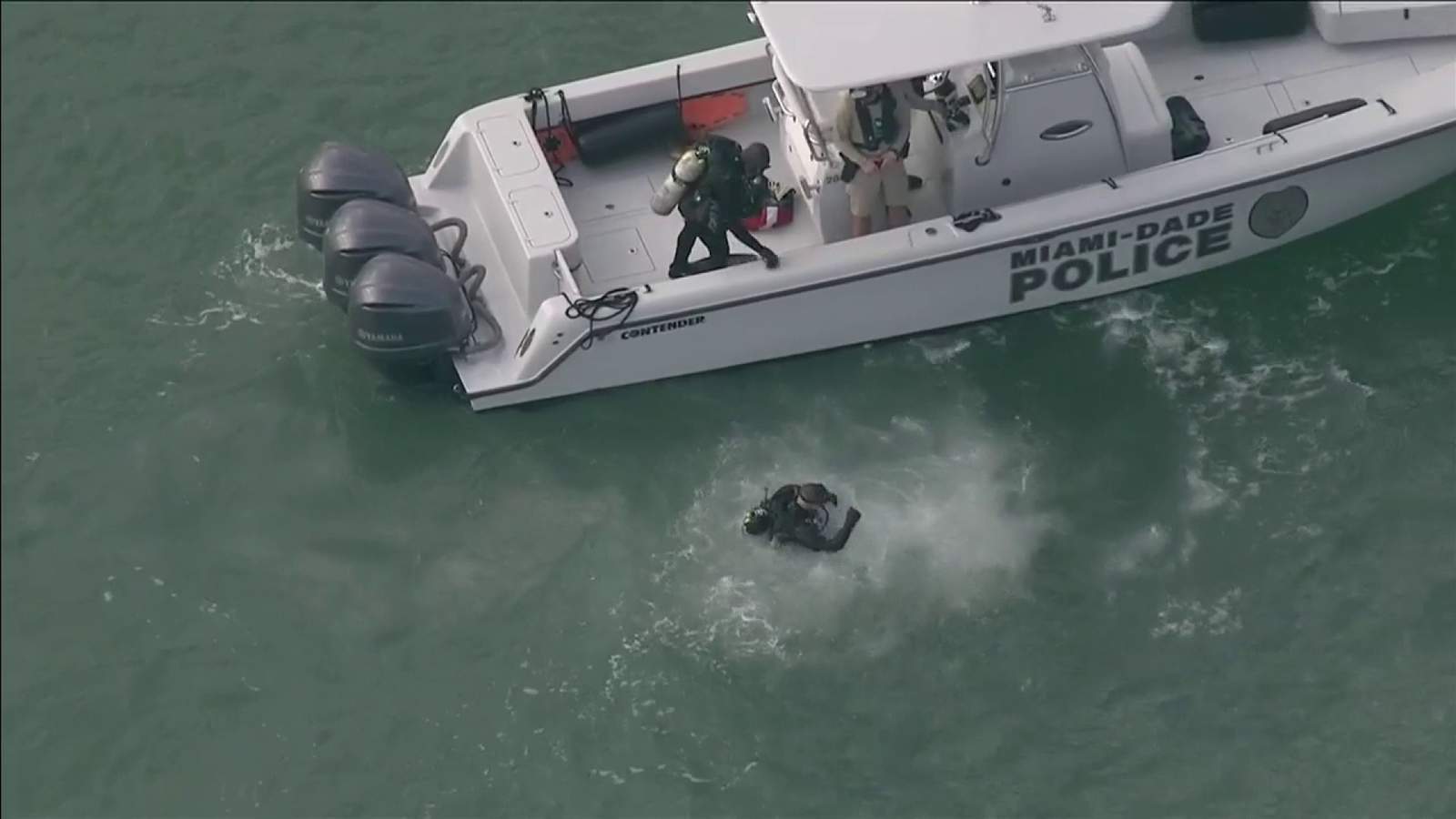 Hombre reporta haber visto huesos humanos en el agua, cerca del Miami Seaquarium