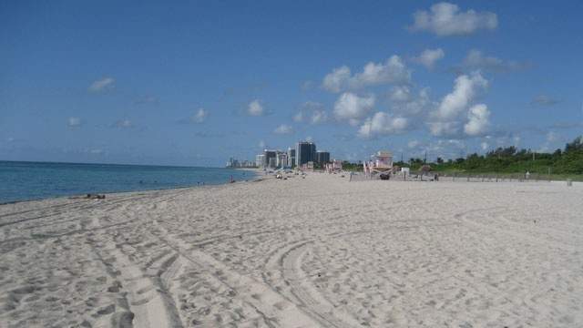 Hundreds Flock To Haulover Beach To Celebrate Nude Beach S 25 Year