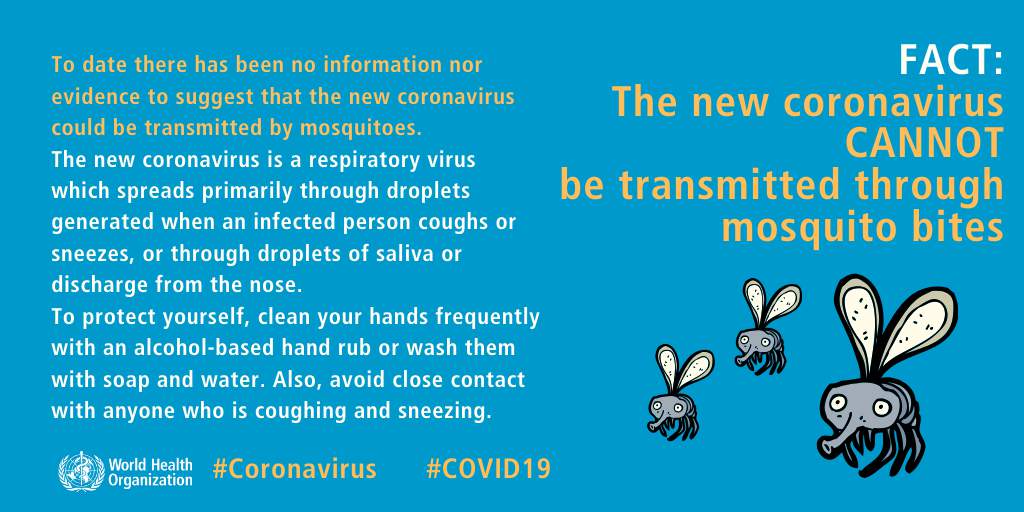 Coronavirus cannot be transmitted from mosquitoes.