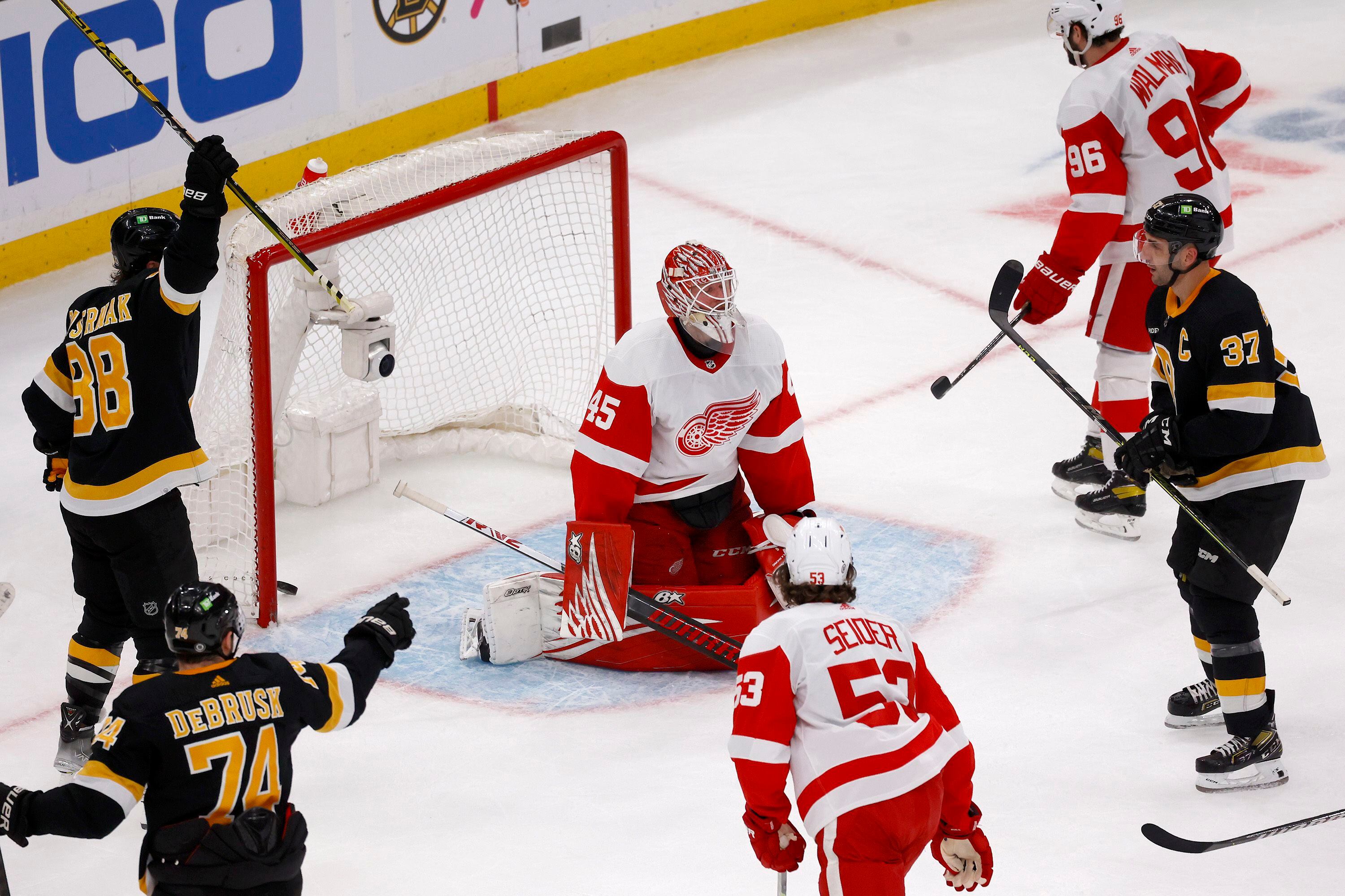 Detroit Red Wings Fall to Washington Capitals in Rematch