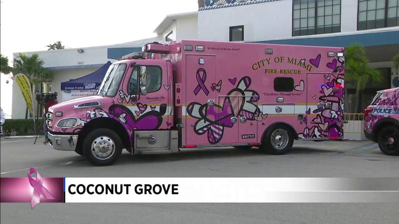 Breast Cancer Awareness: Romero Britto paints city vehicles pink