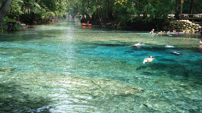Nestlé approved to pump 1 million gallons of water a day from Florida’s popular Ginnie Springs