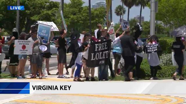 PETA holds protest outside Miami Seaquarium to demand release of Lolita