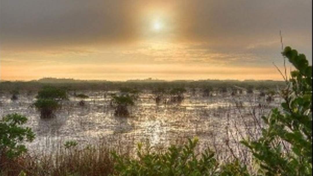 US gives Florida wider authority over wetland development