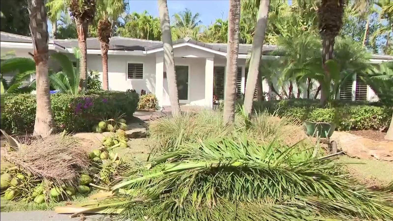 Tree-trimmer electrocuted working at Fort Lauderdale home