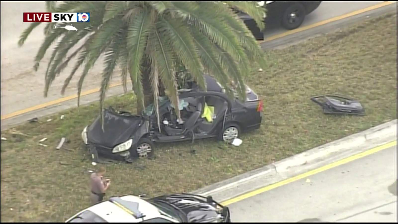 FHP: Driver crashes car into tree on Tamiami Trail