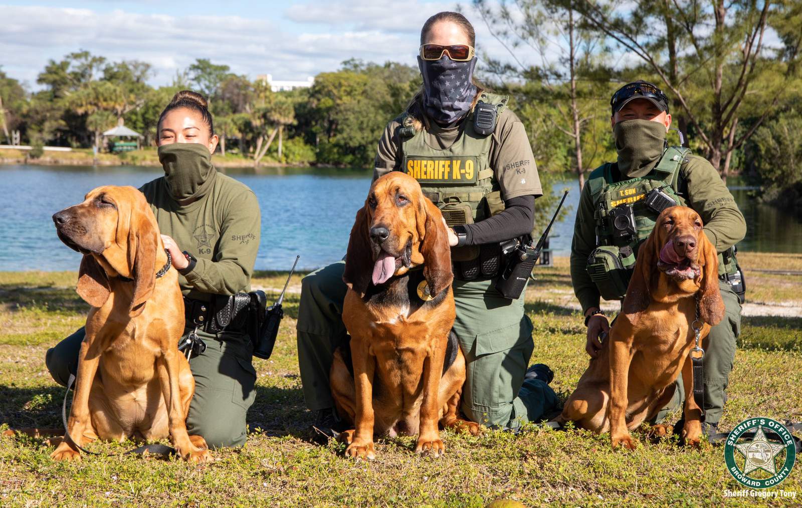 Two bloodhounds join Broward Sheriff’s Office to help paw-trol county