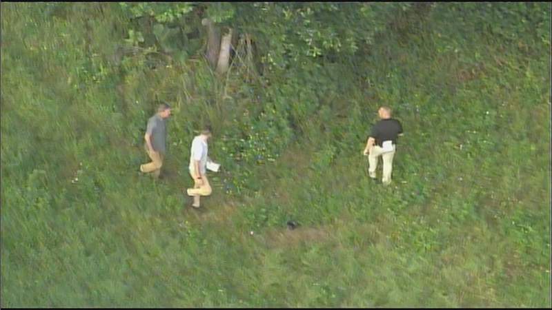 Body discovered in wooded area off I-95 in Broward County