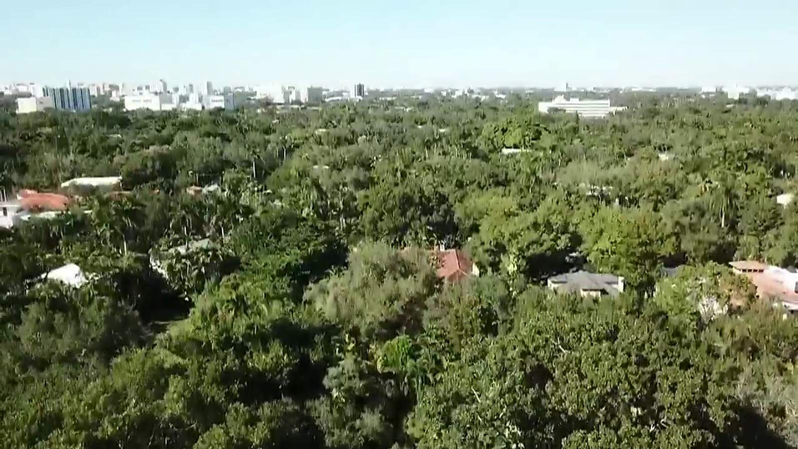 Residents fear ‘Grove Gridlock’ with new private school construction in Coconut Grove