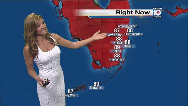 Weather forecast for Fourth of July fireworks in South Fla.