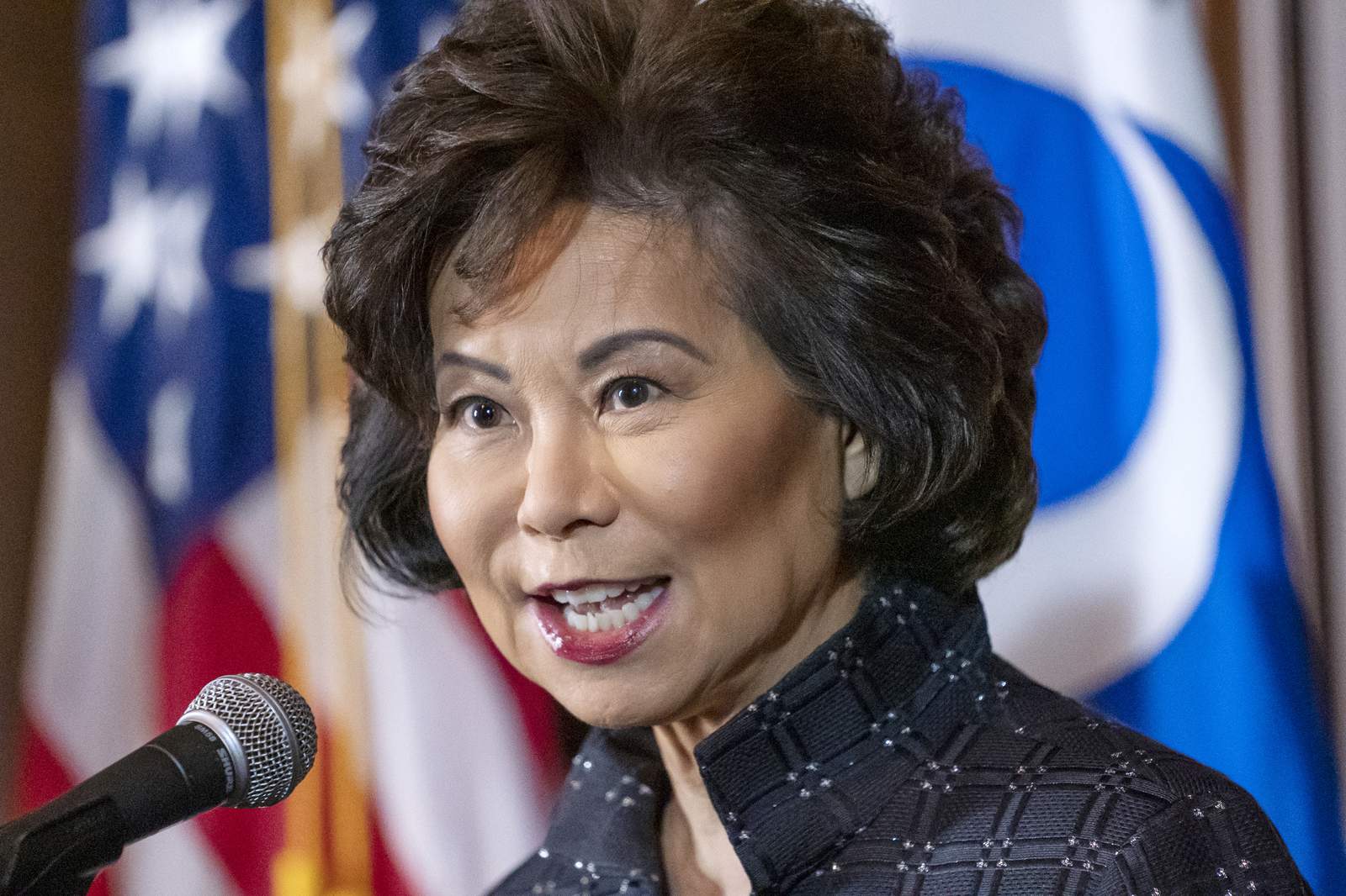IG faults Elaine Chao at Transportation over ethics concerns
