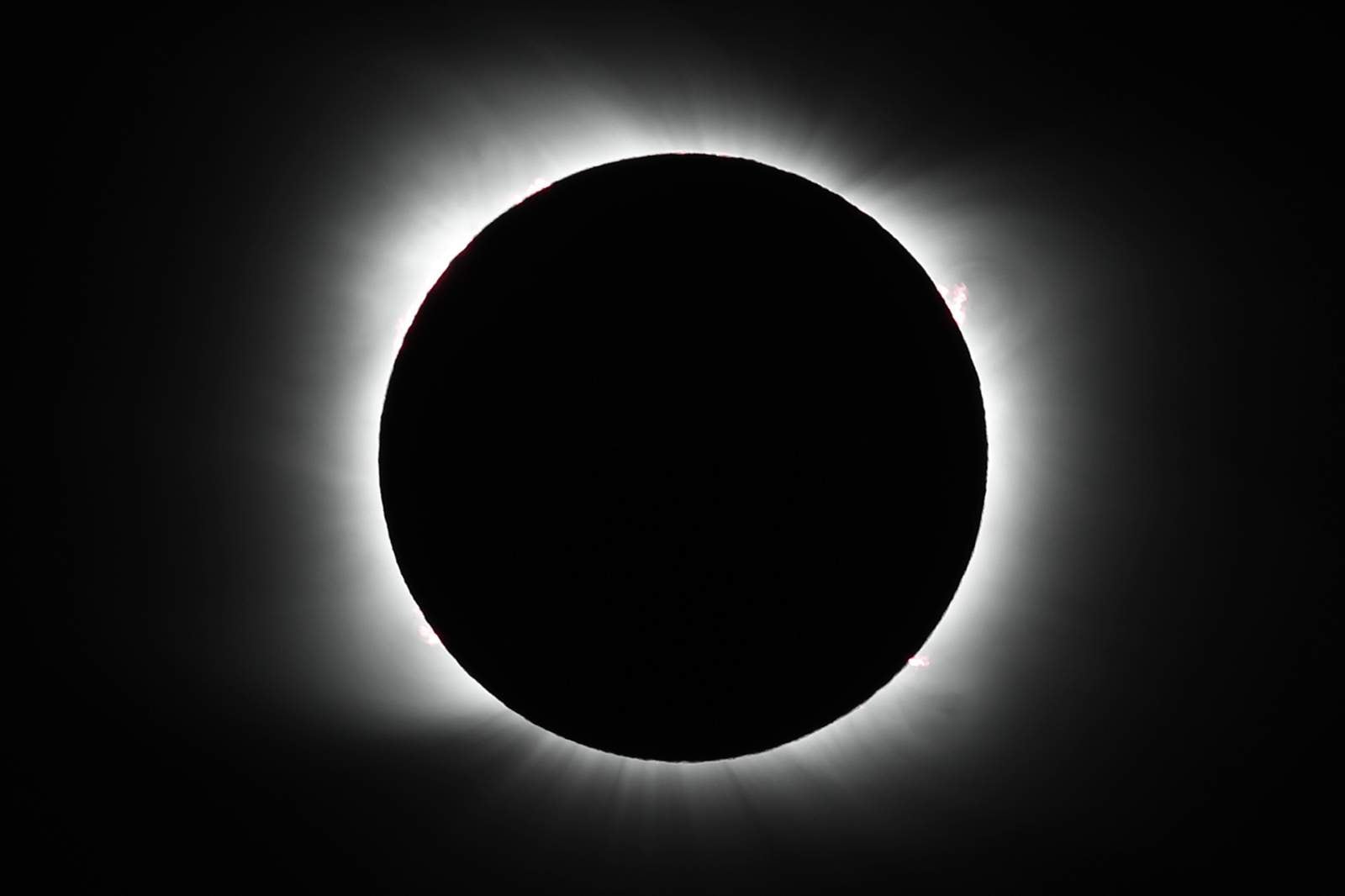 Miles observan en Chile el único eclipse solar total del año