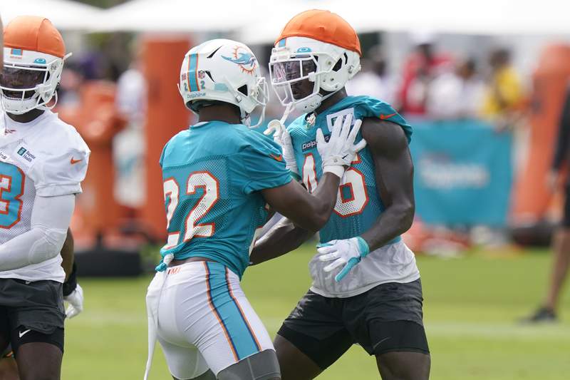 Dolphins rookie safety has been a ball magnet in camp