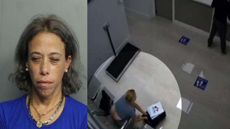 Woman arrested in theft of puppy at Miami-Dade animal clinic