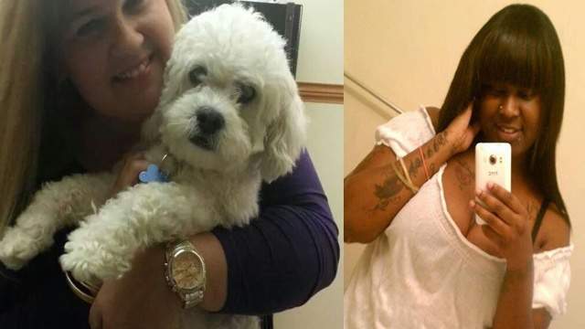 Woman steals dog after posing as sitter on Craigslist ...