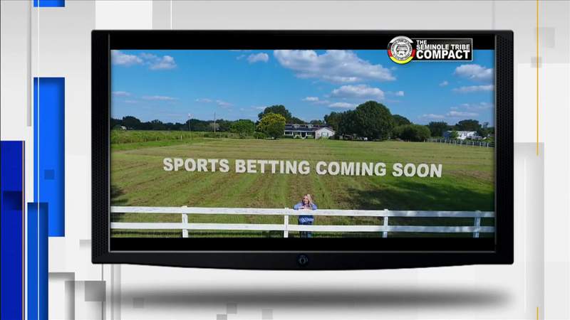 Seminole Tribe’s sports betting compact with the state faces battles from opponents in court