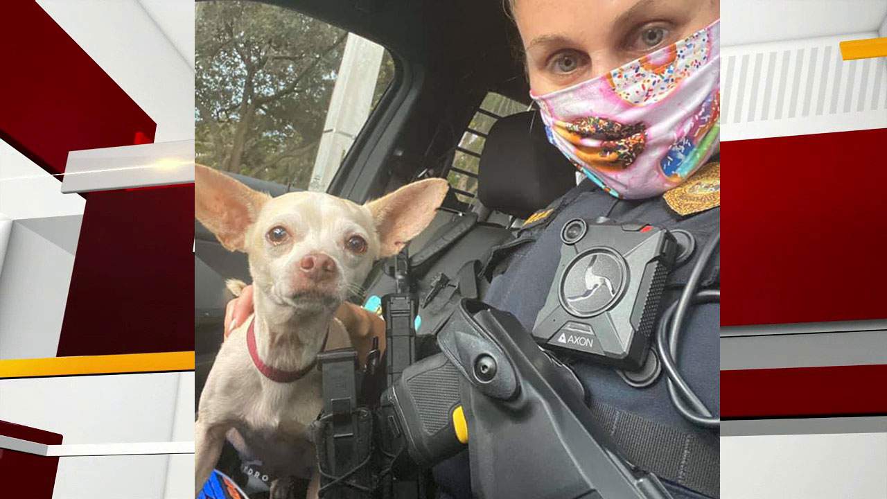 Miramar police officer: Is this your lost dog?