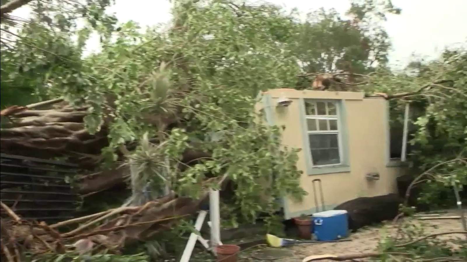 Key Largo neighbors rescue injured man, dog after Tropical Storm Eta sends tree crashing into home