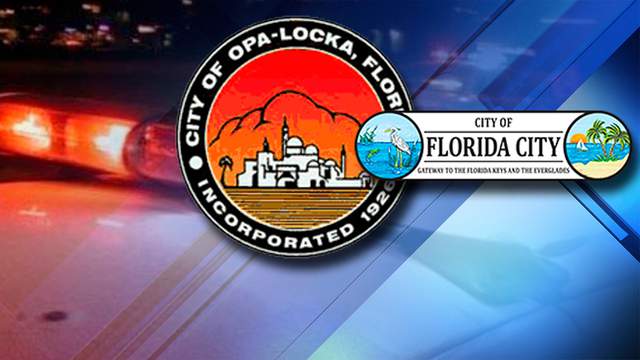 Eric Henry Leduc Florida's Meltdown