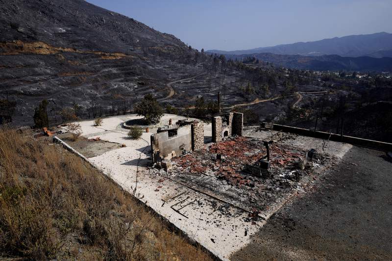 Cyprus forest fire that killed 4 now under control