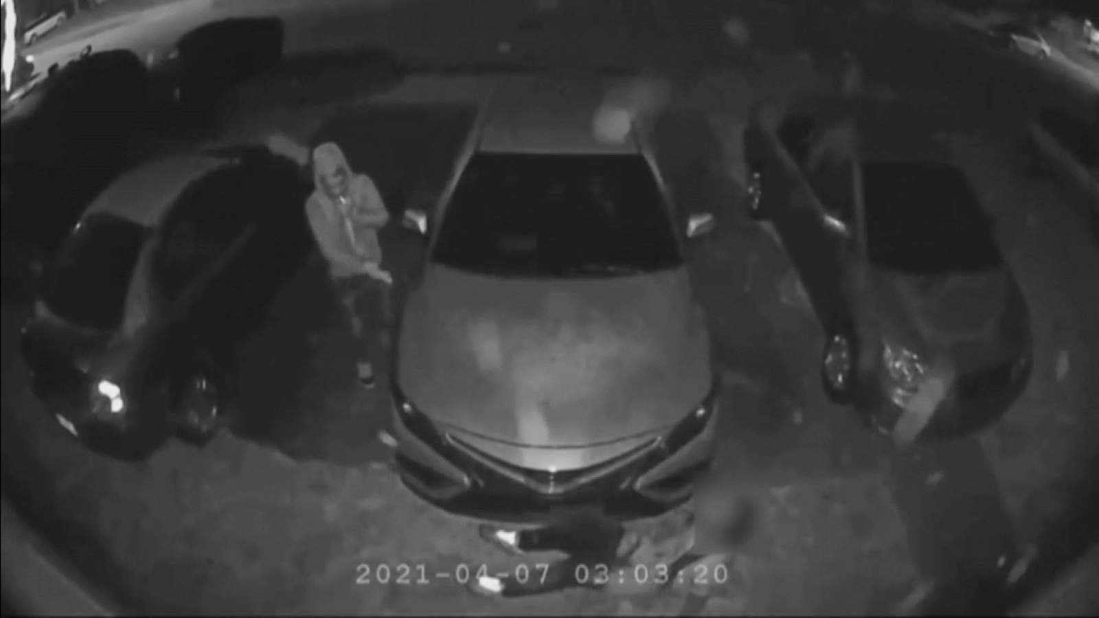 La súplica de la víctima de robo de auto en Broward: “Por favor, no me mates”