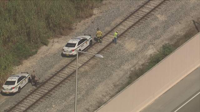 Pedestrian survives being struck by train in Kendall, authorities say