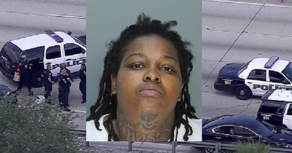 Police identify woman involved in I-95 chase; had 9-year-old son in car