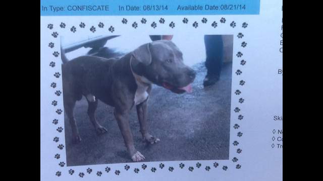 severe penalties in miami dade county