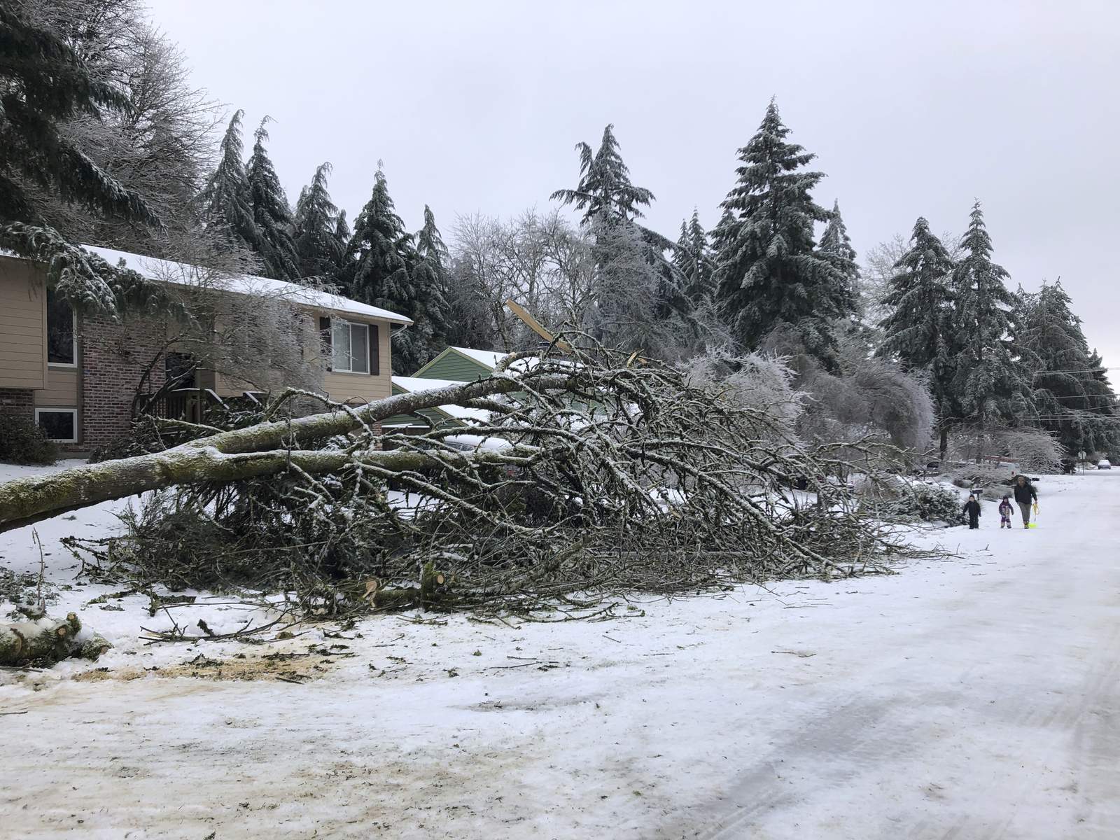 Tormenta invernal deja sin luz a miles en noroeste de EEUU