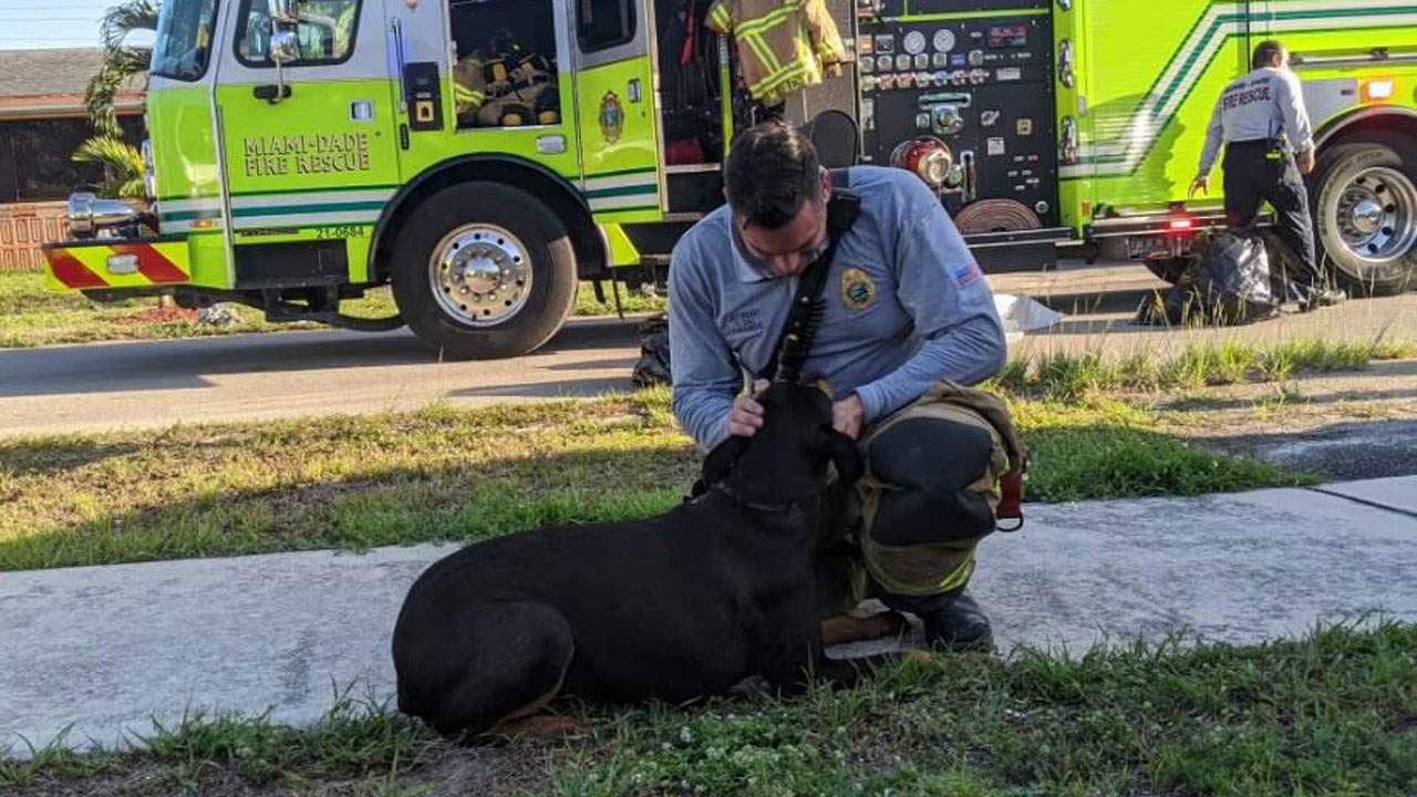 Firefighters rescue dog during house fire in Miami Gardens
