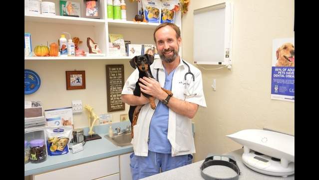 Dr Ian Kupkee Weighs In On Pit Bull Ban