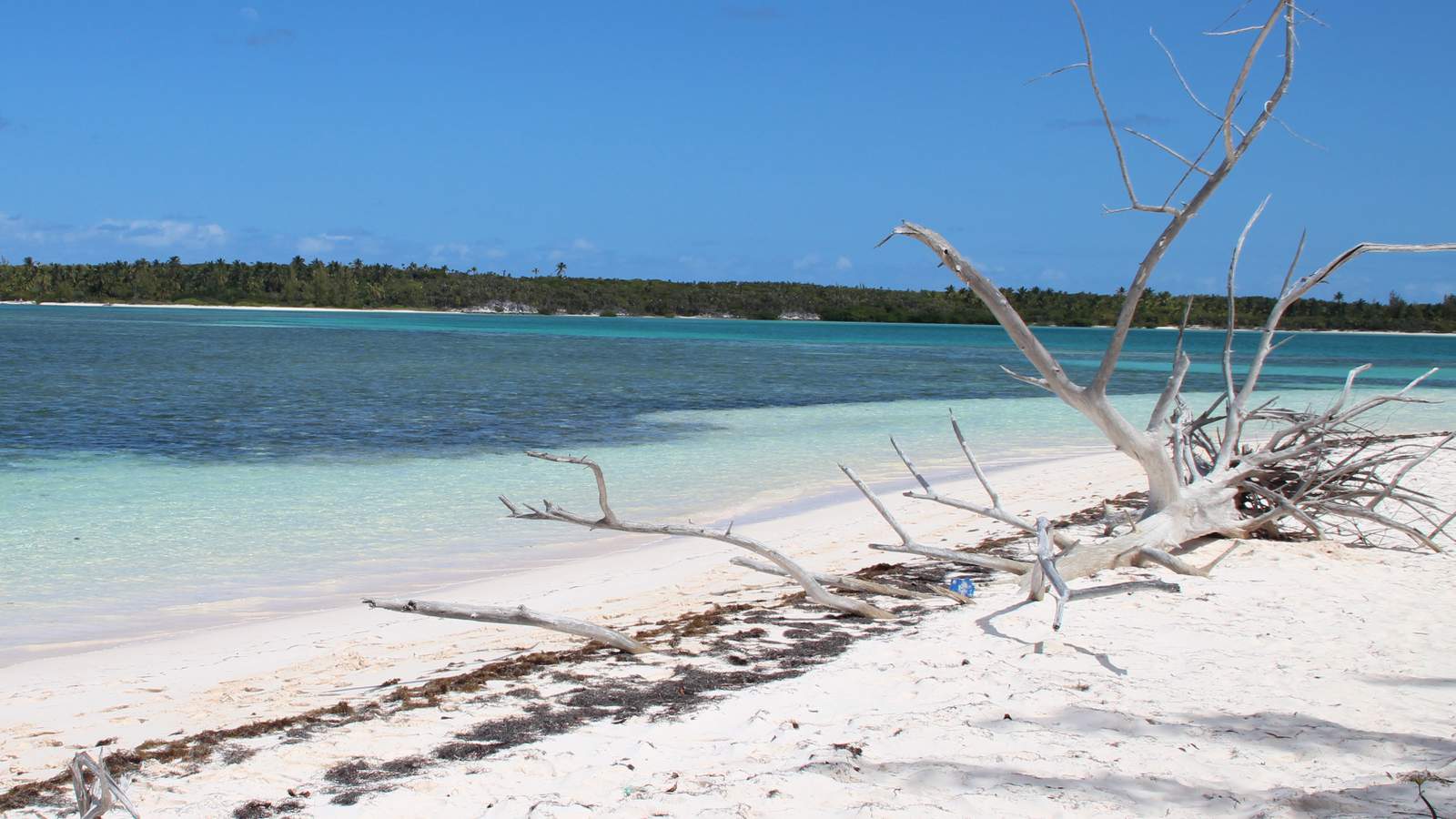 Bahamas closing airports, seaports to United States visitors due to COVID-19